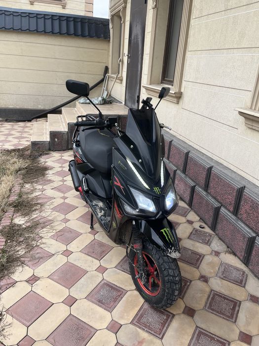 Самурай лия 2024