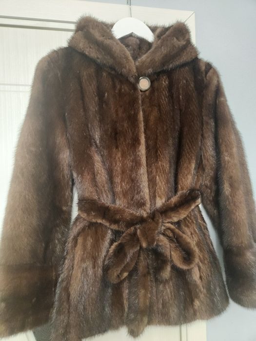 Haina  scurta de vizon