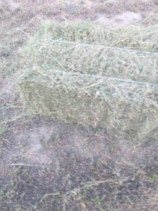 Beda sotiladi 90 talik