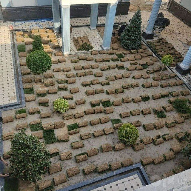 Газон ланшафни дизайн самарканд