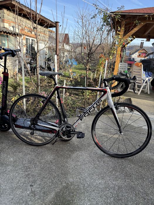 Cursiera Focus Mares Full carbon