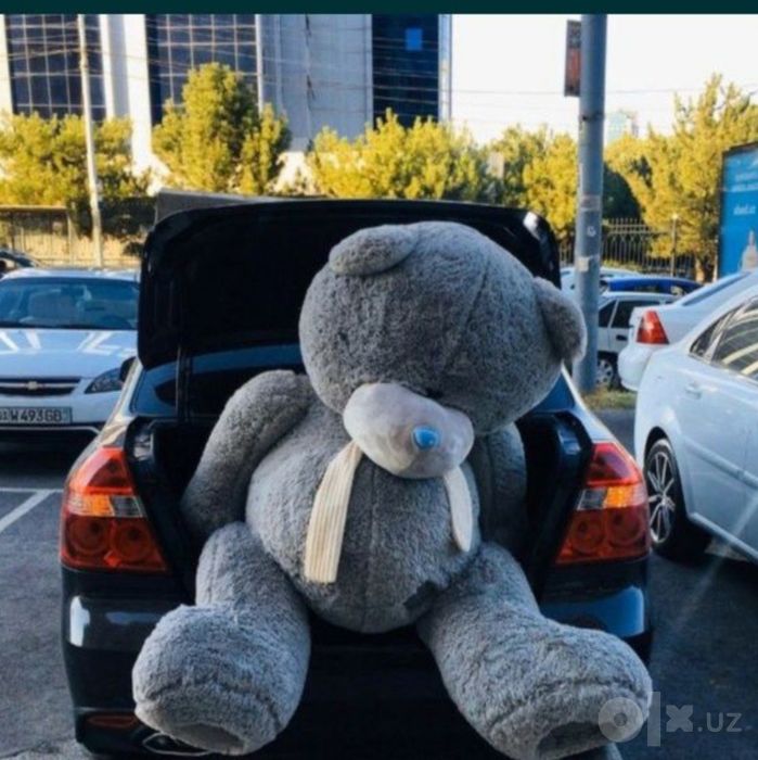 Teddy ayiqchalar Myaxkiy Ayiqchalar