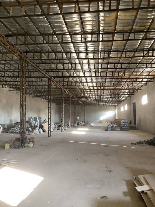 База. Срочно. 50 соток