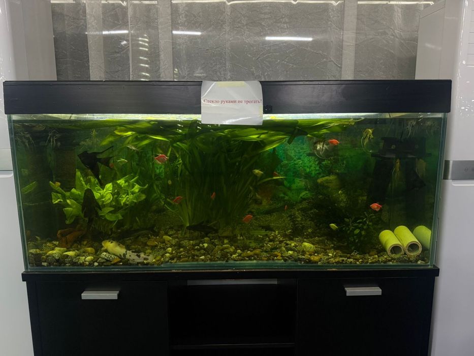 Продам аквариум вместе с рыбками