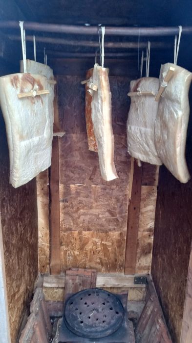 Vând ouă de găină