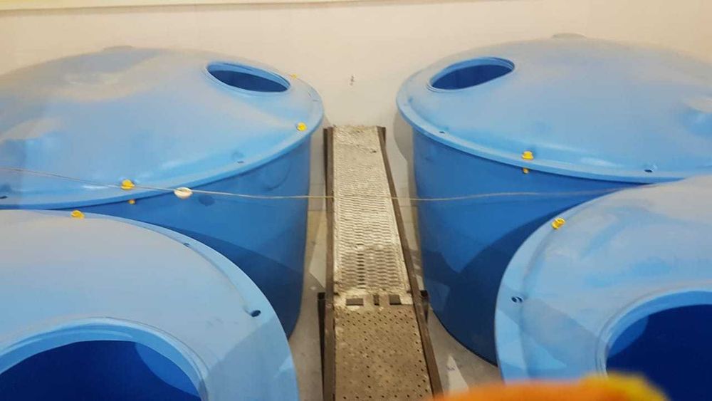 Бассейны для разведения рыбы