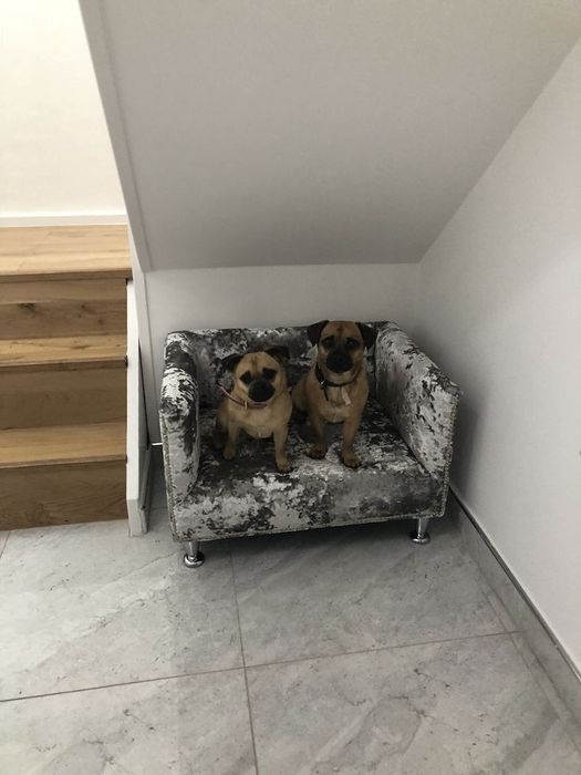 Лежак-диван для питомцев