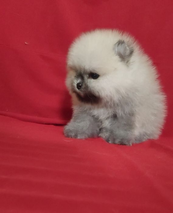 Сссупер мини девочка