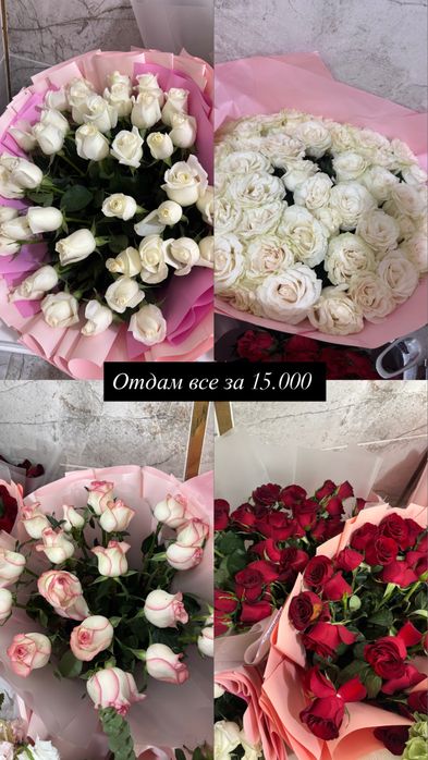 Цветы розы свежие