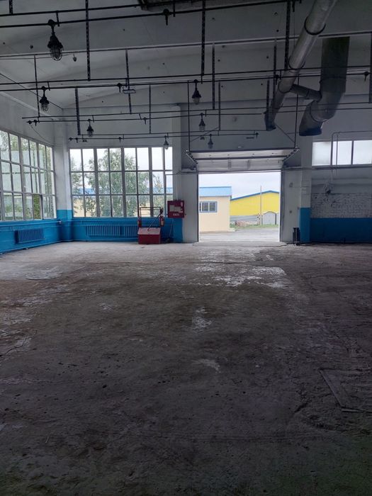 Сдается универсальное помещение в 310 кв.м