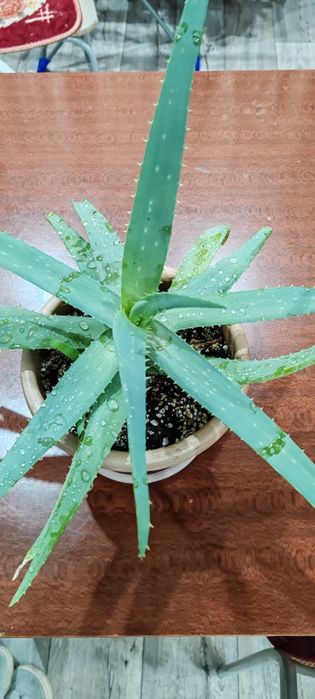 Продам недорого.