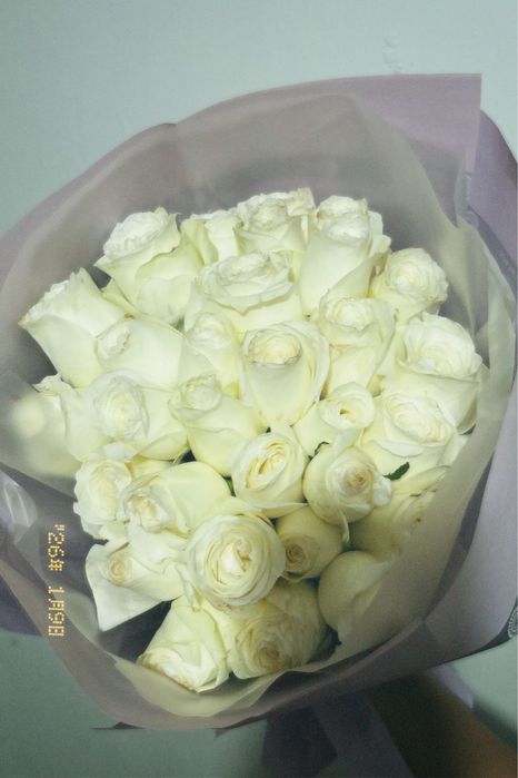 Белые розы 33штук