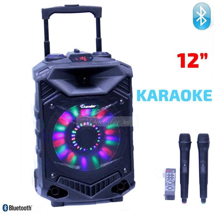 Караоке Тонколона 12" инча Thunder THS-B1201BTW