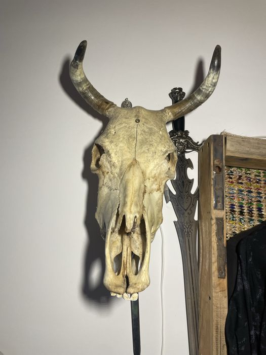 aplică perete bec led .