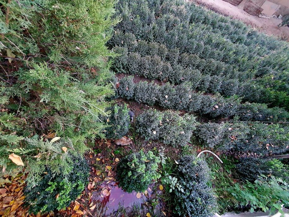 Faqat oladiganlar yozsin