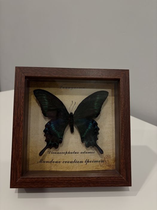 Бабочки в рамке ручная работа