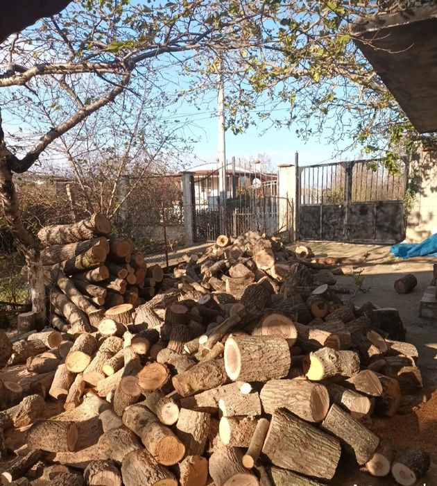 Рязане на дърва за огрев