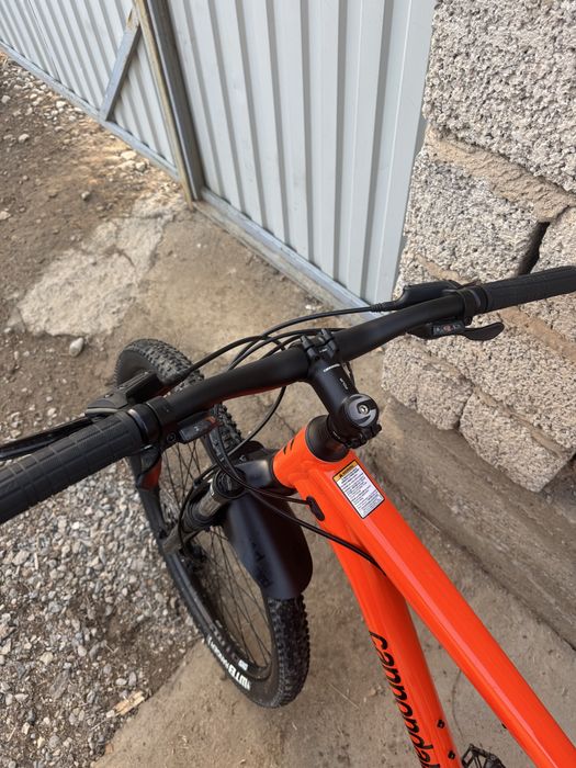 Cannondale trail 6 29" M