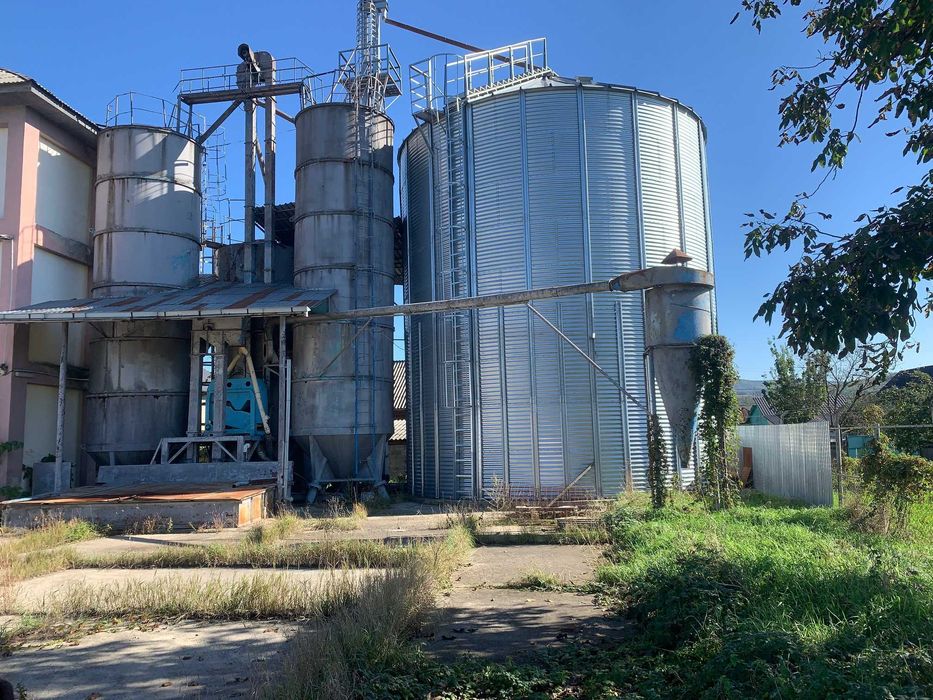 Vand moara grau Bacau