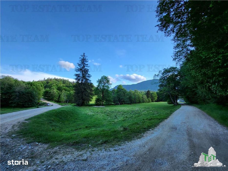 Teren Intravilan 12000 mp, Cascada Urlatoarea, proiect aprobat pentru