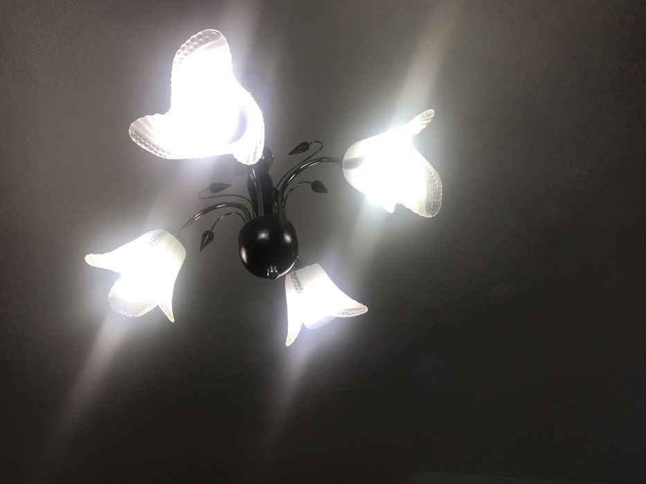 Полилеи висящ с четири плафона под формата на цвете