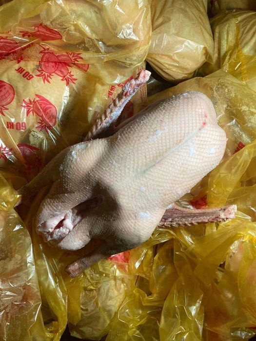 Мясо гусей / Гуси