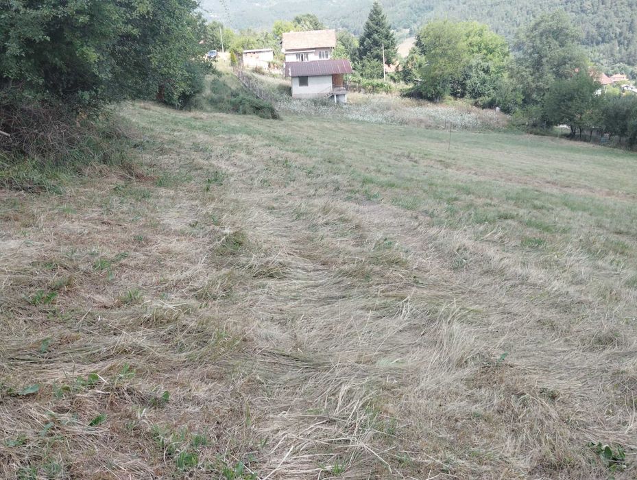 Продава се Парцел в с. Свидня, Област София-област - 800 кв.м за 38 €/кв.м - Снимка #3