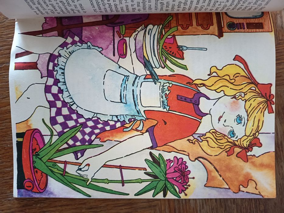 Când adoarme o buburuza