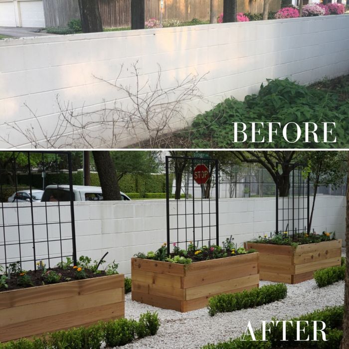 Servicii Profesionale Amenajare Curte gazon iarba debarasare Întreține