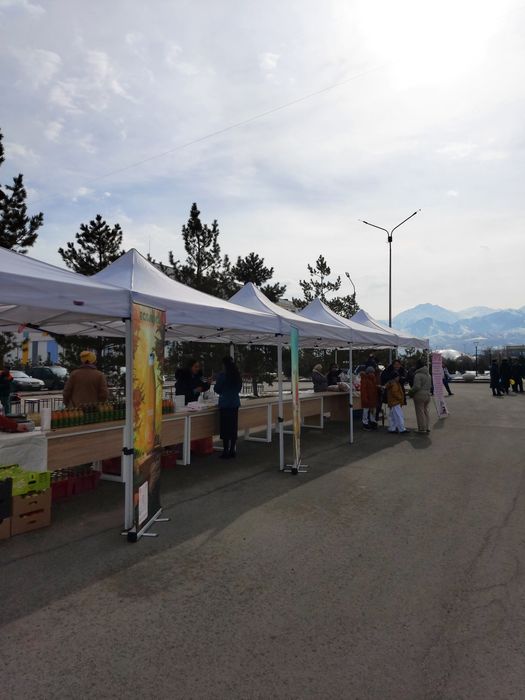 Прокат Полатки Тарговый Шатёр