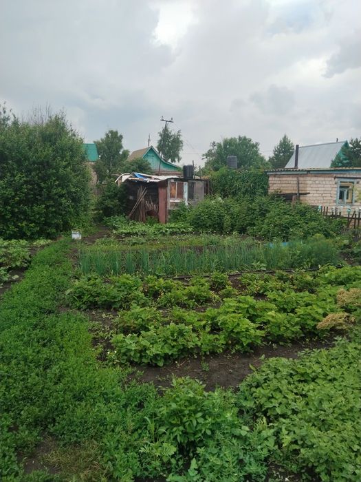 Продам дачу садовое общество Ромашка