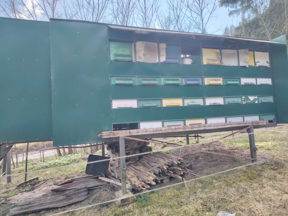 Pavilon Apicol cu 64 loc,60 de Stupi,11 Famili de albine.