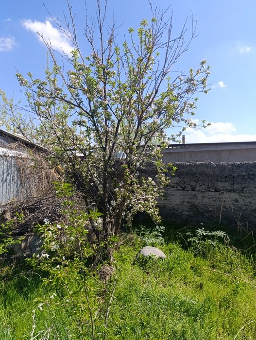 118кв, 7.2сотка 4 комната Каргалы
