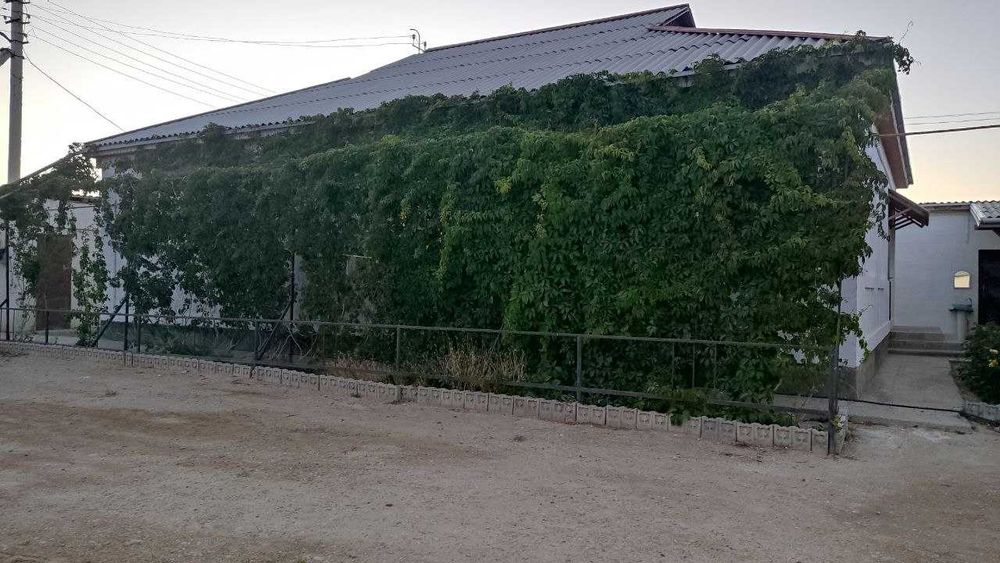 Қызыл төбе ул Балауса