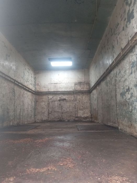 Aftobuz pigvin sotiladi