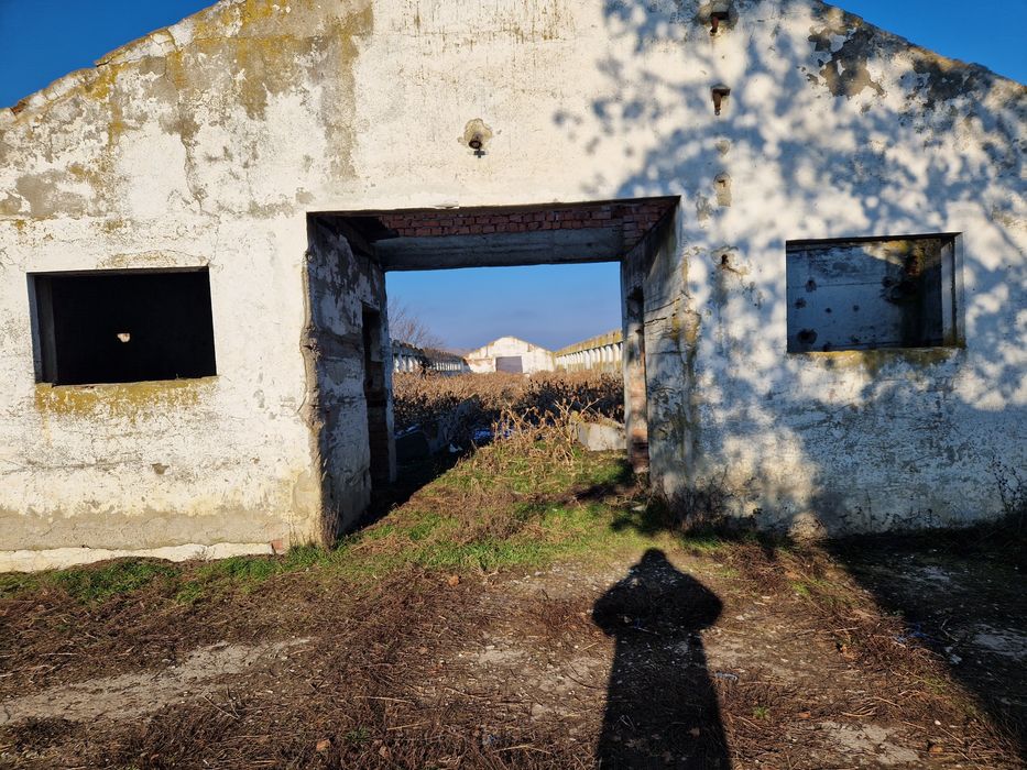 Vand ferma cu teren intravilan cu toate utilitatile  Suprafata util