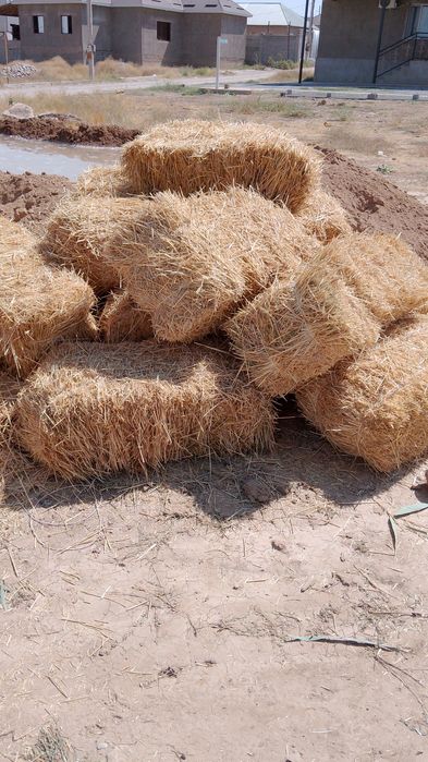 Сабан пресс Салома