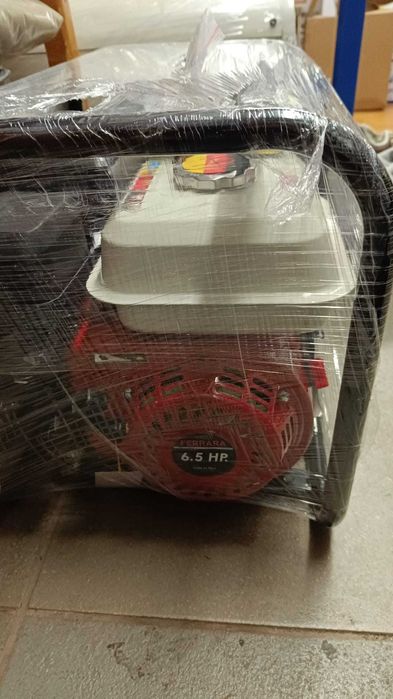 Vând pompa de apă Ferrara