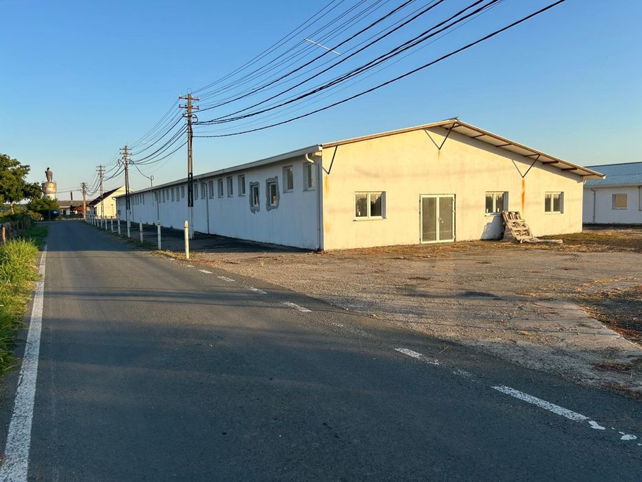 Hala Industriala de vanzare sau inchiriere-Arad,langa autostrada A1