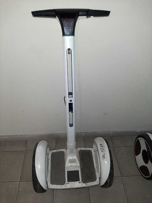 Segwey Ninebot-E (model P)