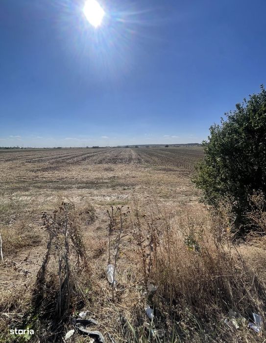 Teren de vânzare în Mihăilești. 7.400 mp. Deschidere 36 m