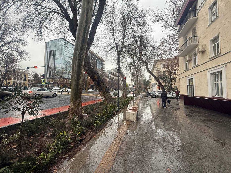 Нежилое помещение Шото Руставели 24/7 улица