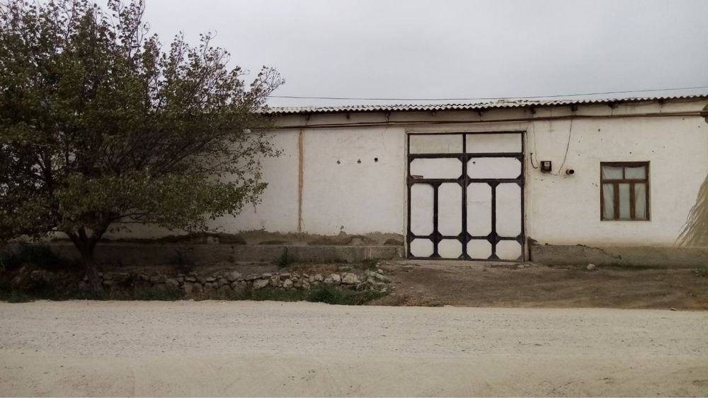 Когон туман чопик-1