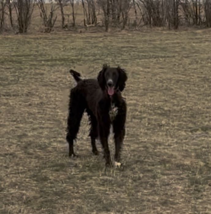 Үнді гарем секс порно