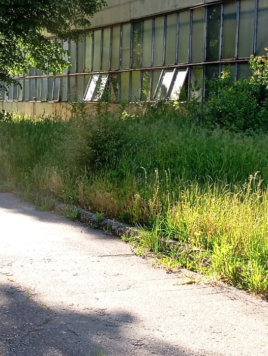 Почистване на апартаменти  и тавански помещения мазета и дворове