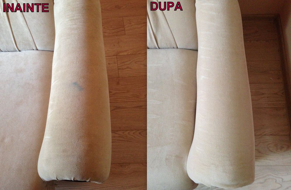 curator canapele și colțare