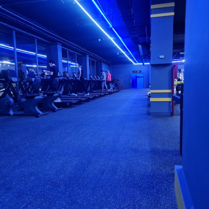 Рулонное покрытие Регупол для кросс-фит зон