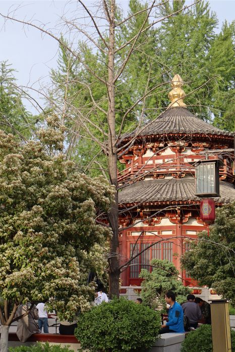 Репетитор по китайскому языку (групповые занятия)