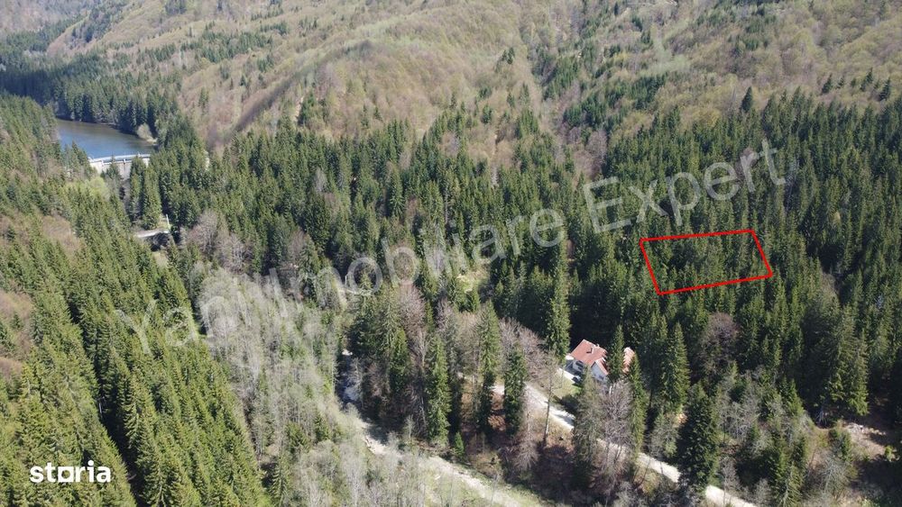 Teren de vânzare pe Valea Vâlsanului, judet Argeș.