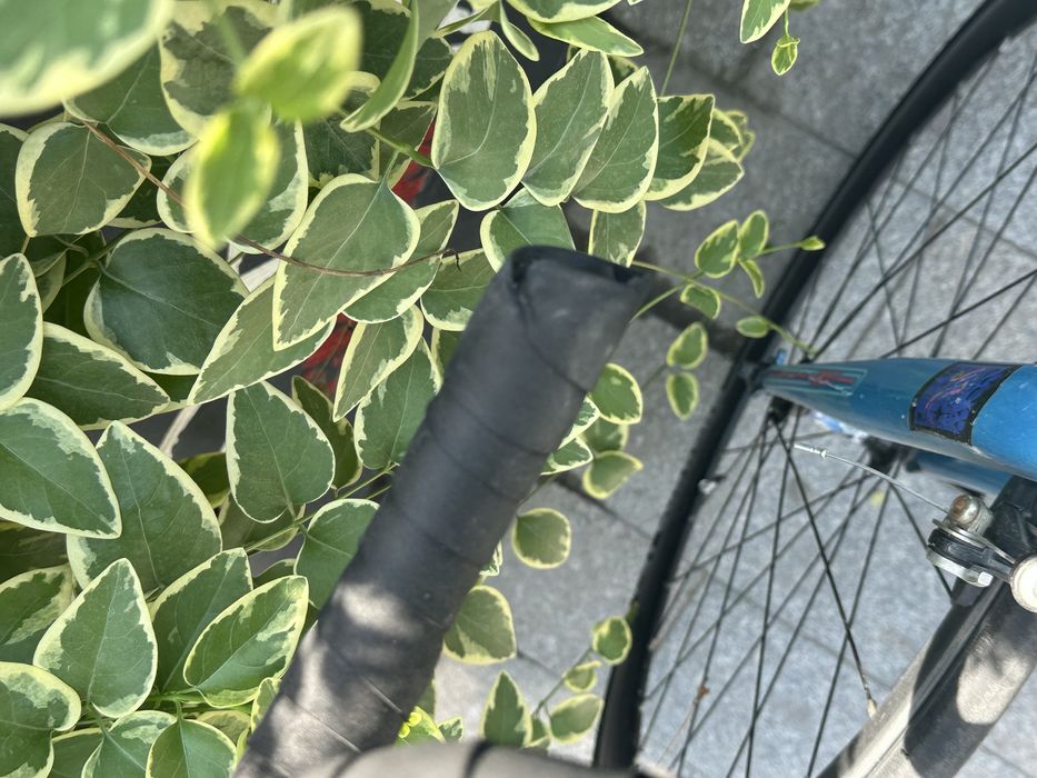 ПРОДАЮ шоссейник Trinx